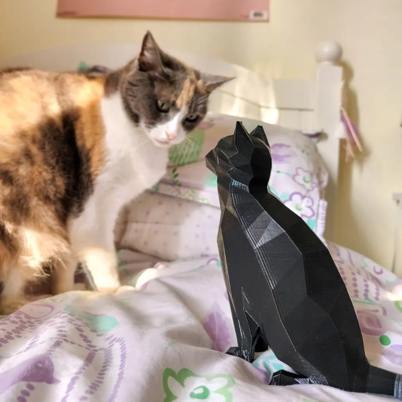 فیگور مدل گربه