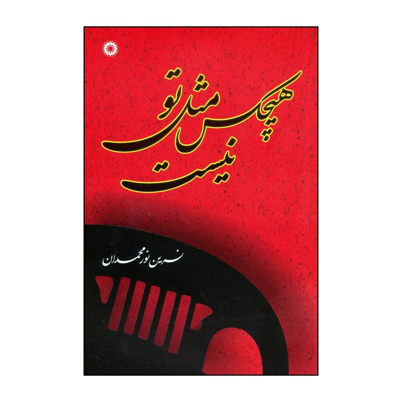 کتاب هیچ‌کس مثل تو نیست اثر نسرین نورمحمدان انتشارات آفرینش
