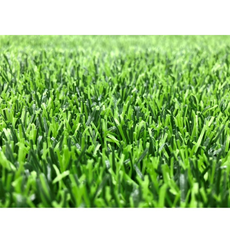 چمن مصنوعی دنیای چمن طرح آوانا مدل DB25 سایز 2x1 متر