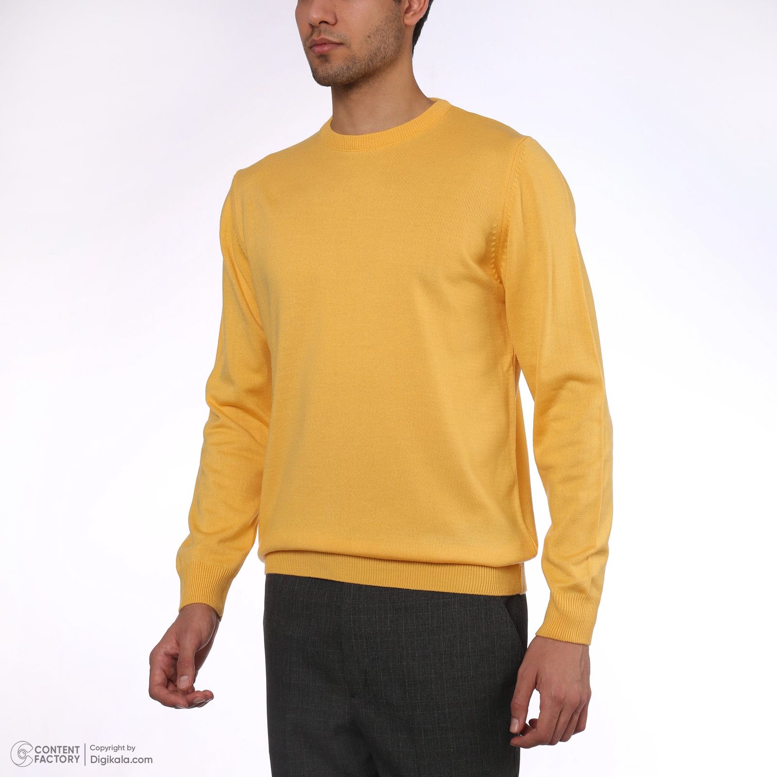پلیور مردانه ایزی دو مدل 2010004101728 - - 24