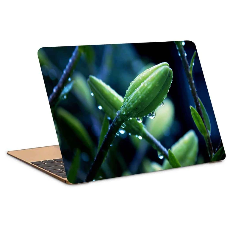 استیکر لپ تاپ طرح flower plant macro drop کد P-750 مناسب برای لپ تاپ 15.6 اینچ