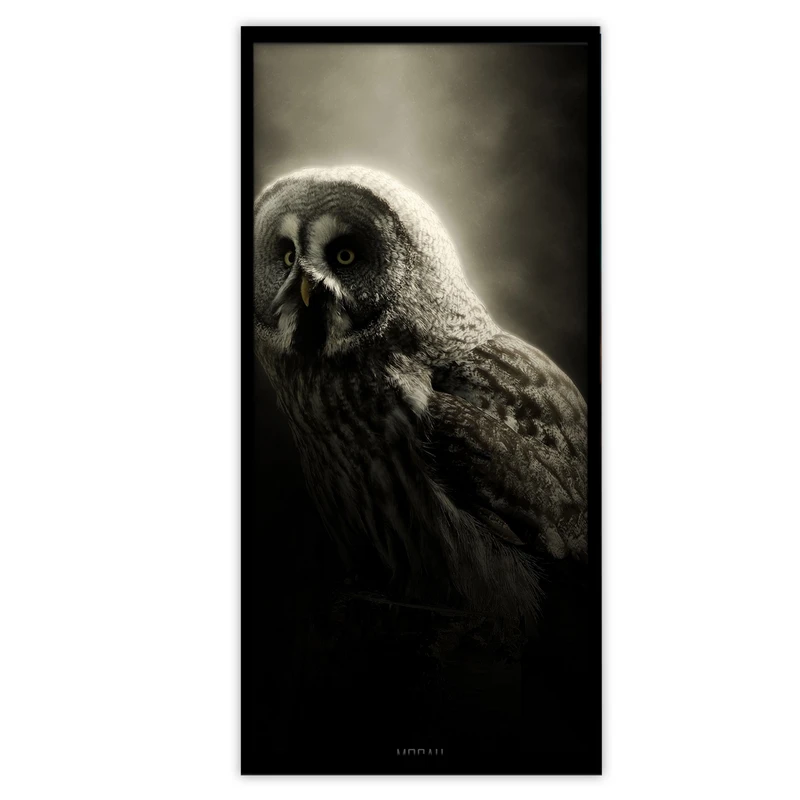 تابلو بکلیت طرح پرندگان جغد مدل B-S3709