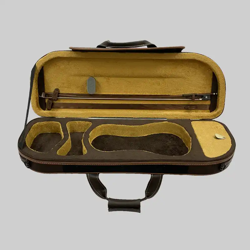 هاردکیس ویولن مدل GSAGST