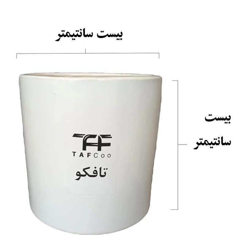 عکس شماره 6 : گل طبیعی فیکوس بلک تافکو کد 1402