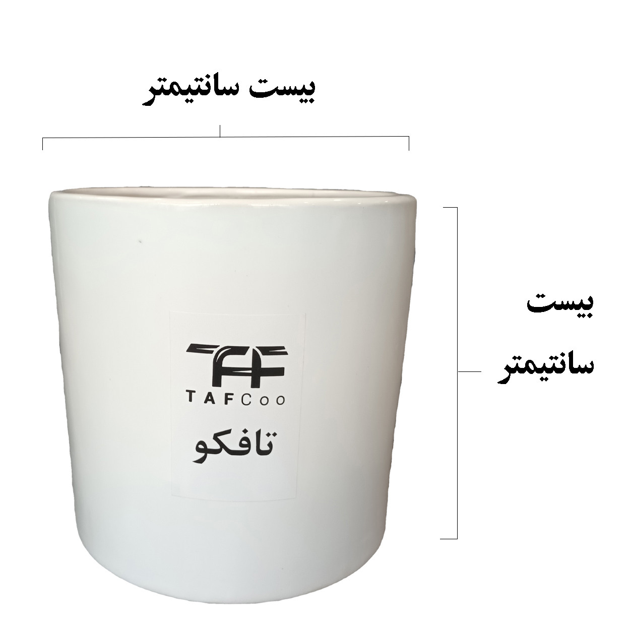 گیاه طبیعی پتوس تافکو مدل لیمویی نئون کد 2038