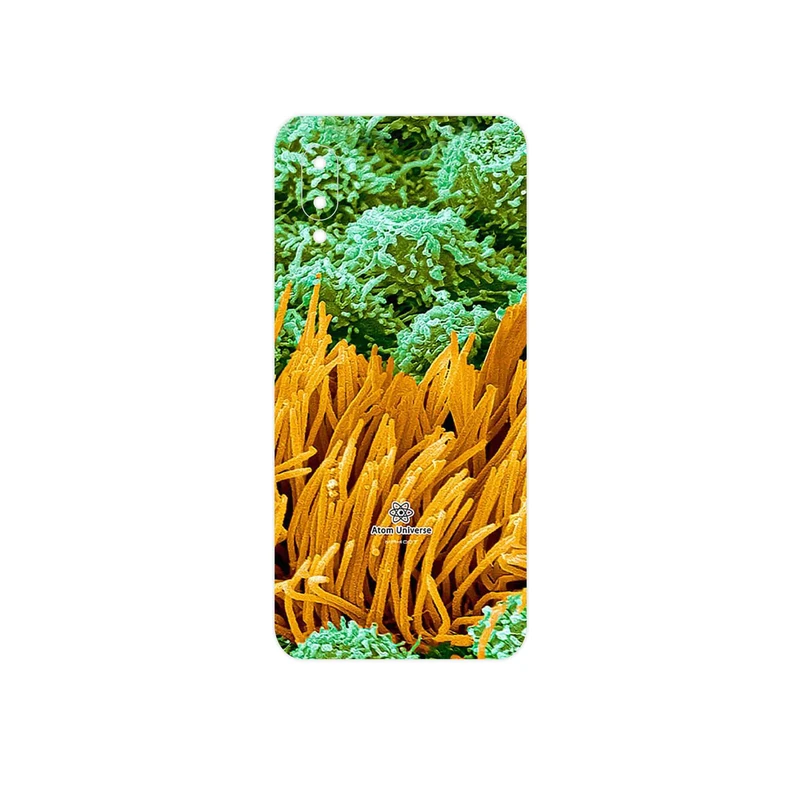 برچسب پوششی ماهوت مدل Atom Universe 6 مناسب برای گوشی موبایل سامسونگ Galaxy M02