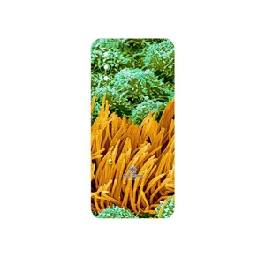 MAHOOT Atom Universe 6 Cover Sticker for Samsung Galaxy M02