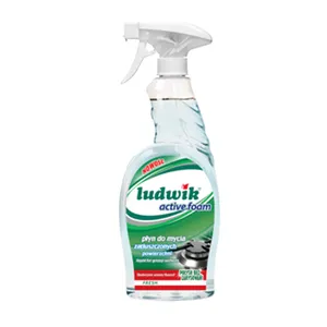اسپری گاز پاک کن لودویک مدل Active Foam حجم 750 میلی لیتر