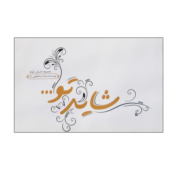 کتاب شاید تو مجموعه داستان کوتاه اثر سایه اسماعیلی راد انتشارات آمیس قیمت خرید فروشگاه آنلاین زیاد میاد