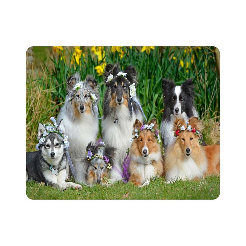 ماوس پد اطلس آبی طرح سگ  مدل T7665