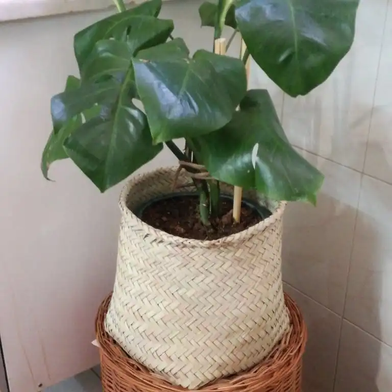 سبد حصیری مدل استوانه 15-33 بسته پنج عددی