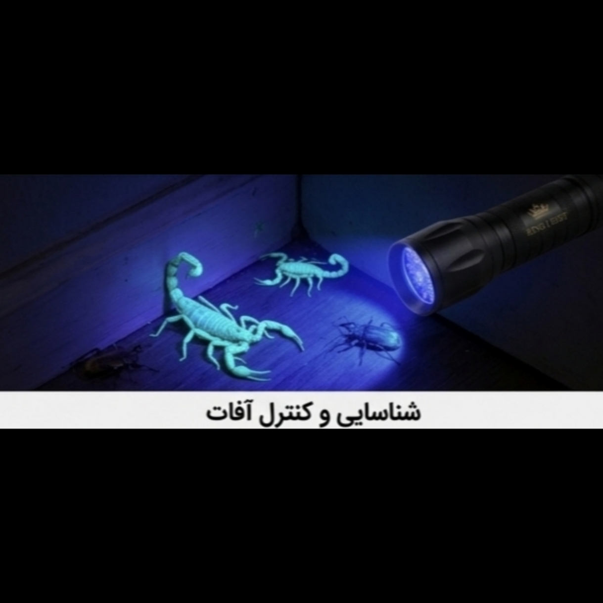 چراغ قوه دستی کینگ لایت مدل UV-365395 با نور بنفش چراغ قوه دستی کینگ لایت مدل UV-365395 با نور بنفش