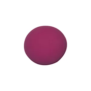 پد آرایشی آلپینا کد 804