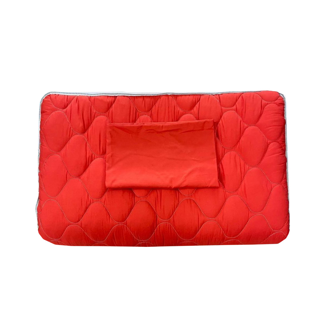 تشک مهمان ژینورا مدل یاسمین یک نفره سایز 90x190 سانتیمتر به همراه رو بالشی تشک مهمان ژینورا مدل یاسمین یک نفره سایز 90x190 سانتیمتر به همراه رو بالشی