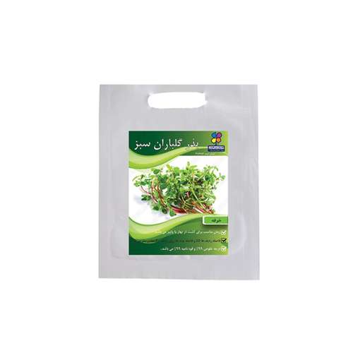 بذر خرفه شرکت گلباران سبز گیلان مدل BKH بسته 20 عددی