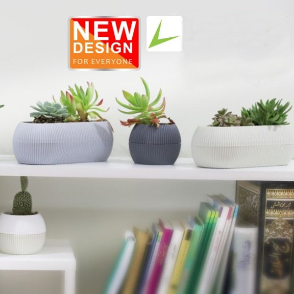 گلدان مدل کاکتوسی قایقی