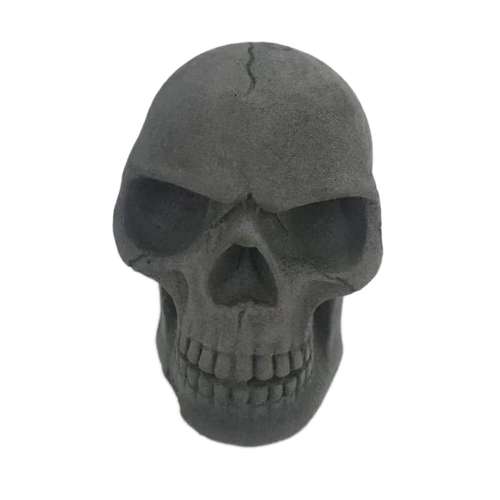 زغال مدل SK01 طرح جمجمه وزن 500 گرم