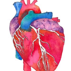 نقد و بررسی استیکر لپ تاپ طرح قلب تشریحی توسط خریداران