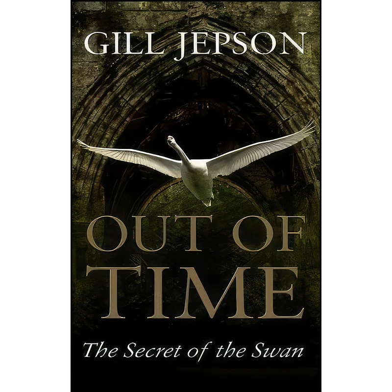 کتاب Out of Time اثر Gill Jepson انتشارات Troubador Publishing Ltd