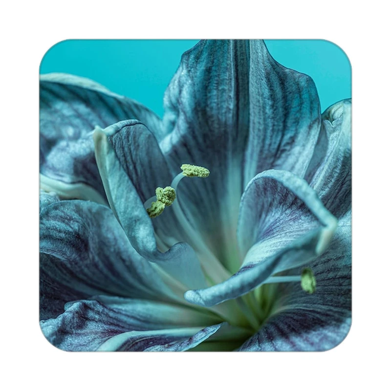 زیر لیوانی کاکتی طرح گل مدل mp18529