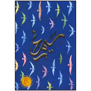 کتاب سی مرغ و سیمرغ اثر غلامرضا امامی نشر مهرسا