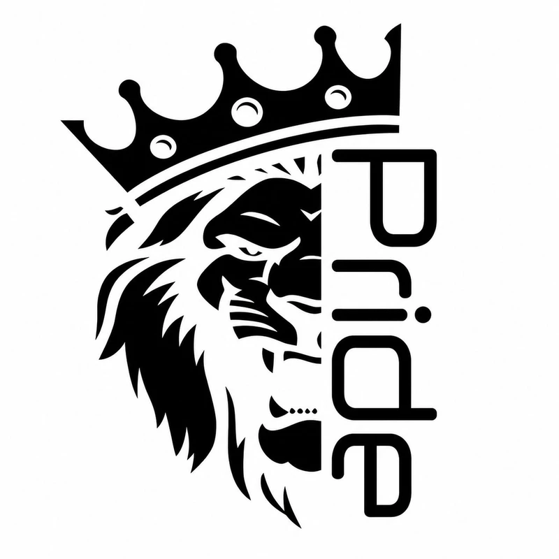 برچسب بدنه خودرو سولگی طرح ایران Pride کد M174