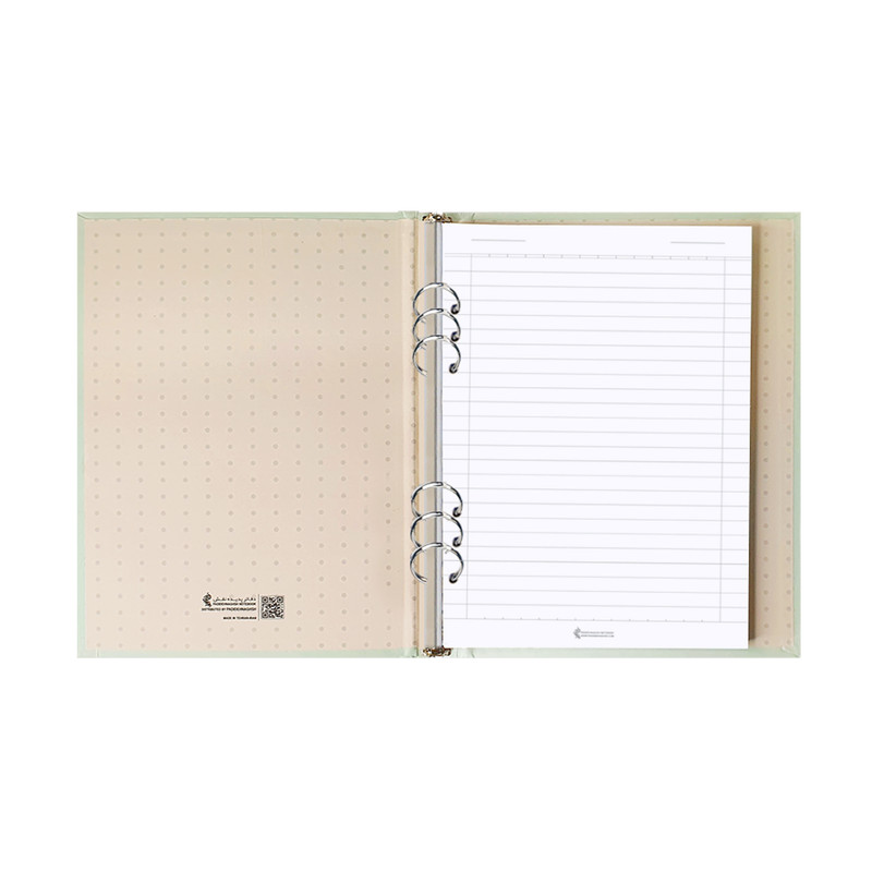 کلاسور پدیده نقش مدل 6 حلقه آدم فضایی به همراه تخته شاسی