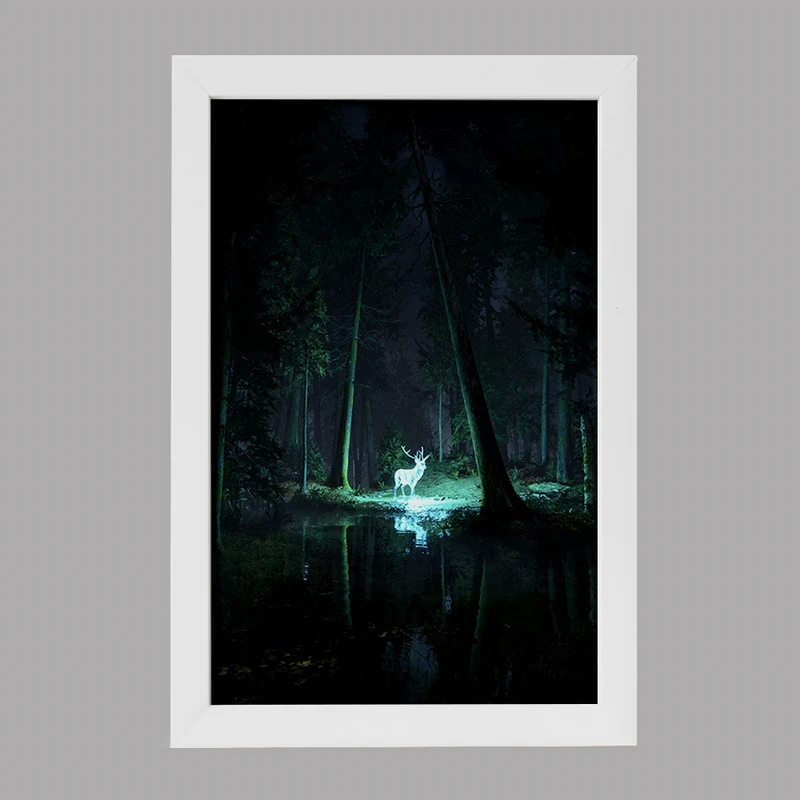 تابلو خندالو مدل هری پاتر (Harry Potter) کد F862