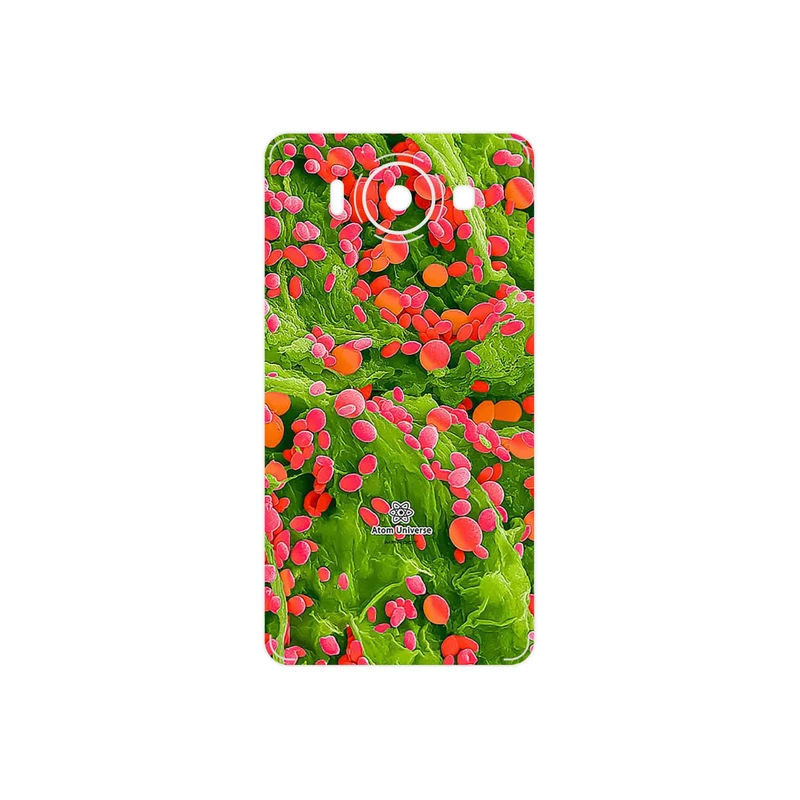 برچسب پوششی ماهوت مدل Atom Universe 3 مناسب برای گوشی موبایل مایکروسافت Lumia 950