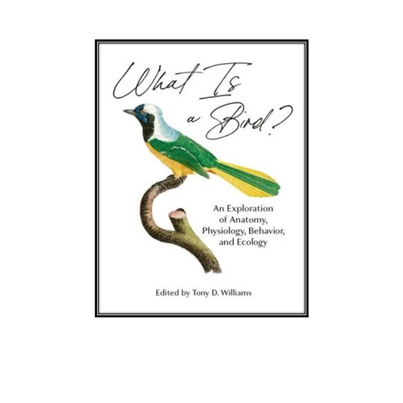 کتاب What Is a Bird?: An Exploration of Anatomy, Physiology, Behavior, and Ecology اثر Tony D. Williams انتشارات مولفین طلایی