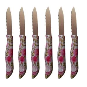 کارد میوه خوری طرح گلدار مدل 1001 بسته ی شش عددی 