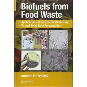 کتاب Biofuels from Food Waste اثر Antoine Prandota Trzcinski انتشارات CRC Press