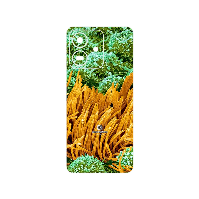 برچسب پوششی ماهوت مدل Atom Universe 6 مناسب برای گوشی موبایل آنر Play 10