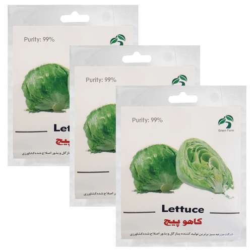 بذر کاهو پیچ گرین فارم کد 032 بسته 3 عددی