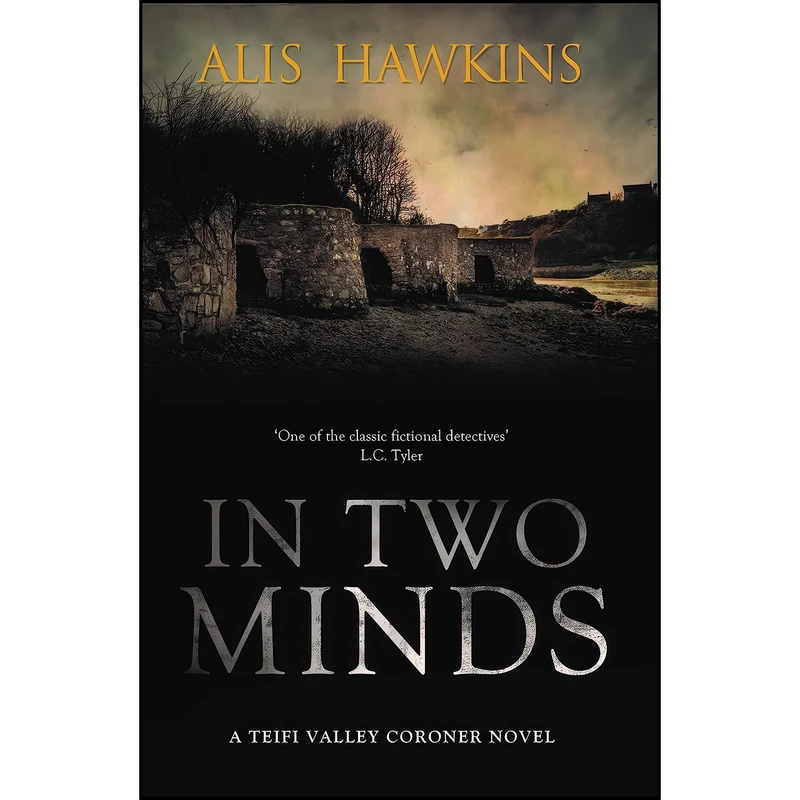 کتاب In Two Minds اثر Alis Hawkins انتشارات Dome Press