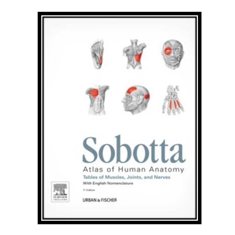 کتاب Sobotta - Tables of Muscles, Joints and Nerves اثر جمعی از نویسندگان انتشارات مؤلفین طلایی