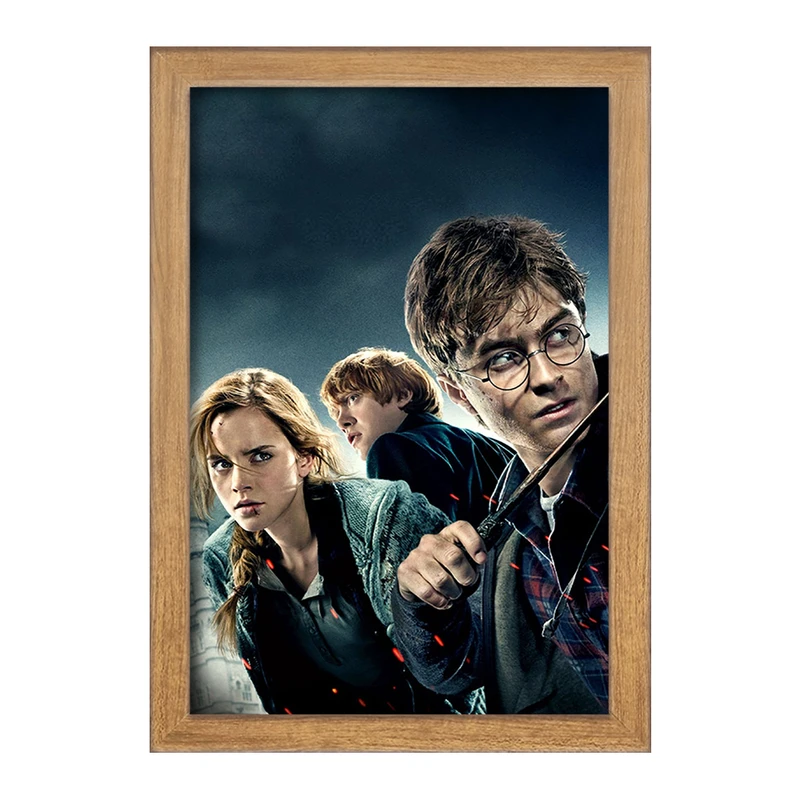 تابلو خندالو مدل رون و هرمیون و هری پاتر Harry Potter  کد 2915
