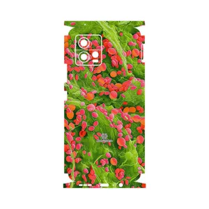 MAHOOT Atom Universe 3-FullSkin Cover Sticker for Motorola Moto G72