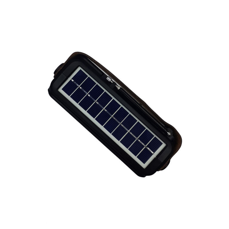 رادیو گولون مدل RX-BT650T