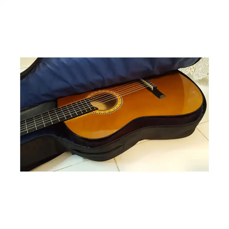 گیتار پارسه مدل 002