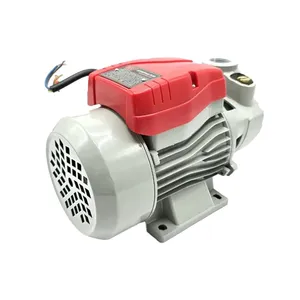 پمپ آب 370 وات باس مدل QB60 کد 6-167