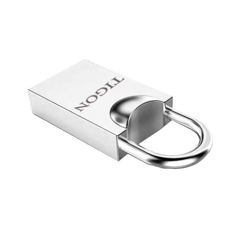 فلش مموری تایگون مدل P93 ظرفیت 32 گیگابایت