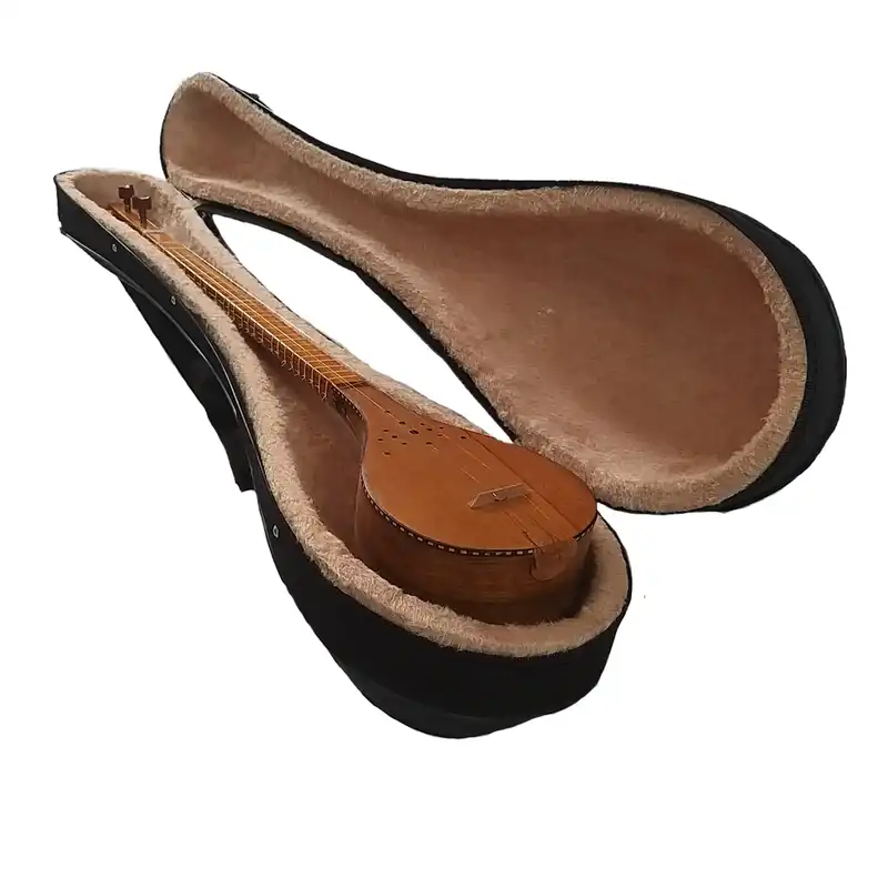 هارد کیس سه تار مدل سنتی