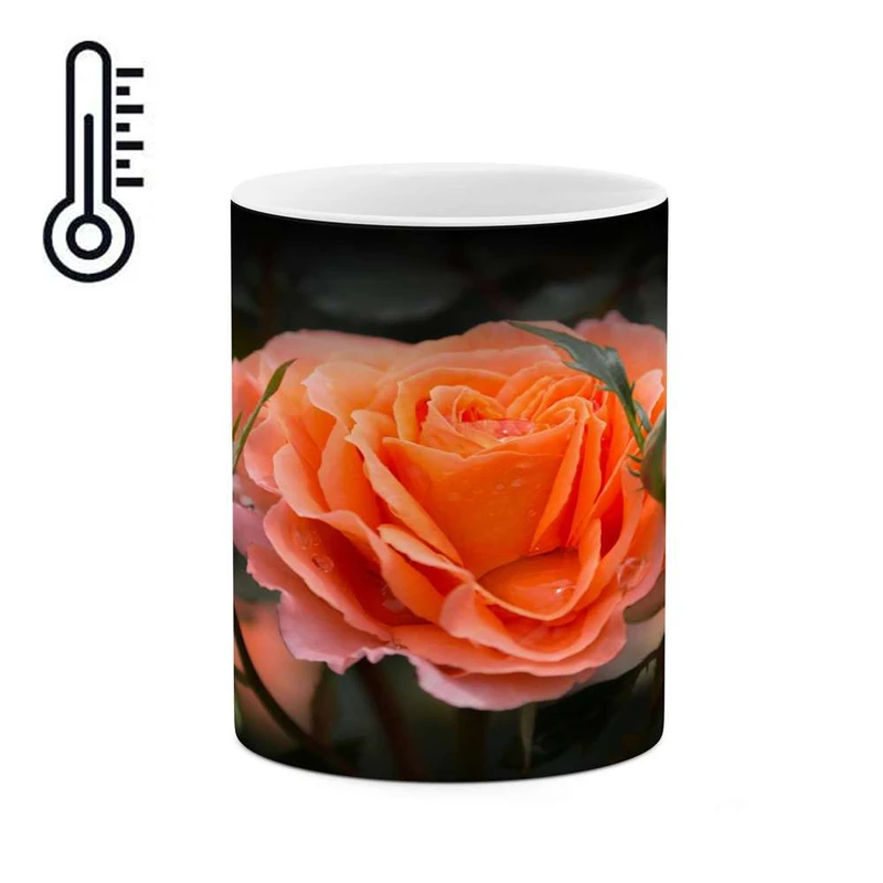 ماگ حرارتی کاکتی مدل گل کد mgh16144