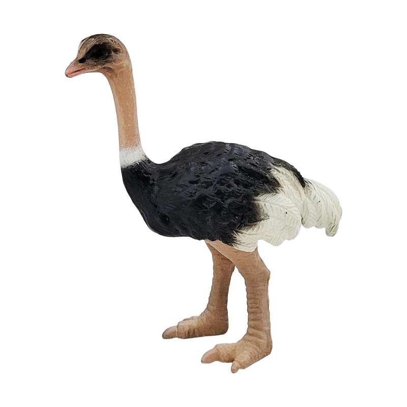 فیگور طرح حیوانات مدل شترمرغ کد 119900