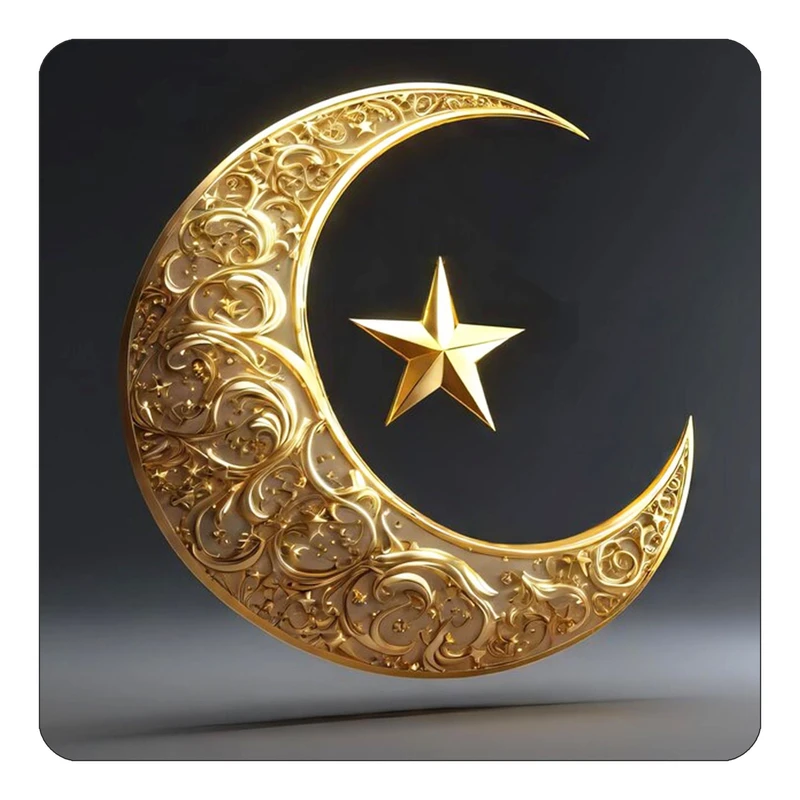 مگنت کاکتی طرح ماه و ستاره مدل mp52393