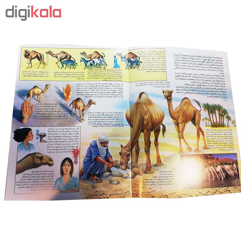 کتاب قصه علمی کودک و نوجوان شترها اثر جان بانت وکسو نشر گنجینه دانش نوین کتاب قصه علمی کودک و نوجوان شترها اثر جان بانت وکسو نشر گنجینه دانش نوین
