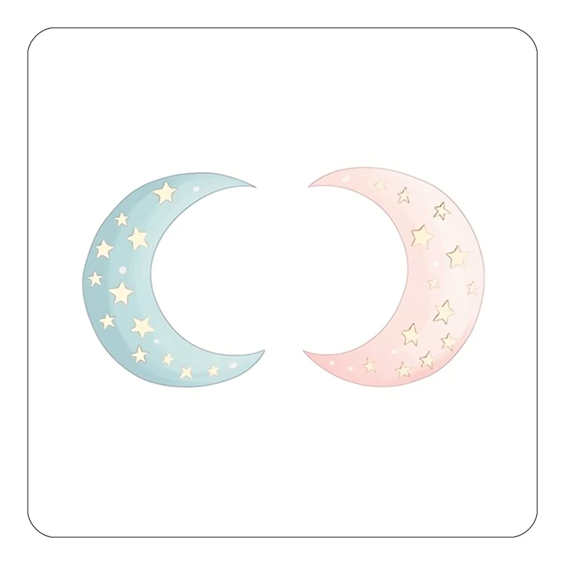 مگنت کاکتی طرح ماه و ستاره مدل mp54285