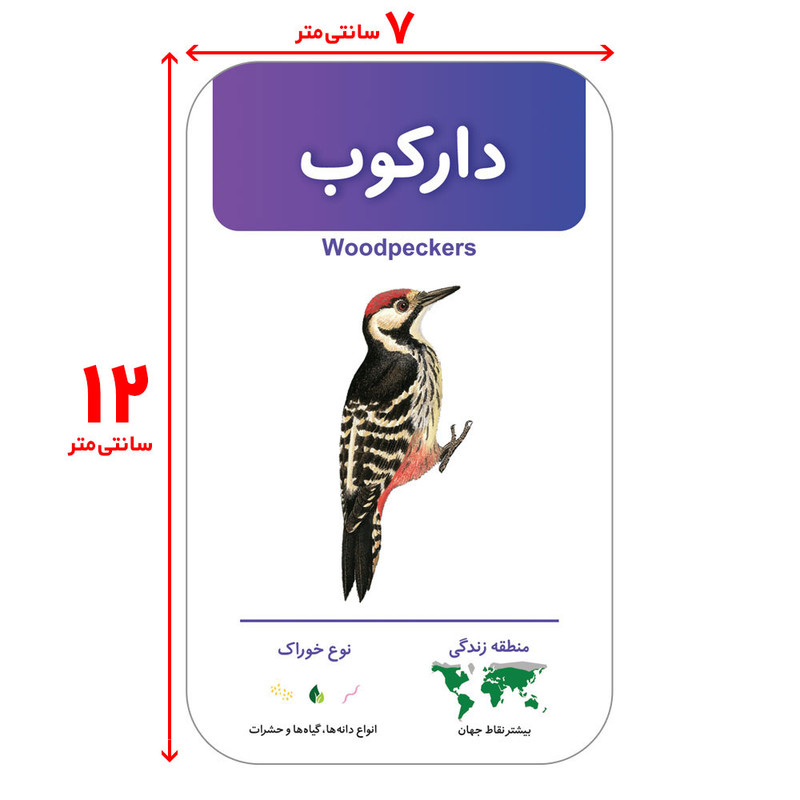 فلش کارت آشنایی با پرندگان انتشارات اندیشه کهن