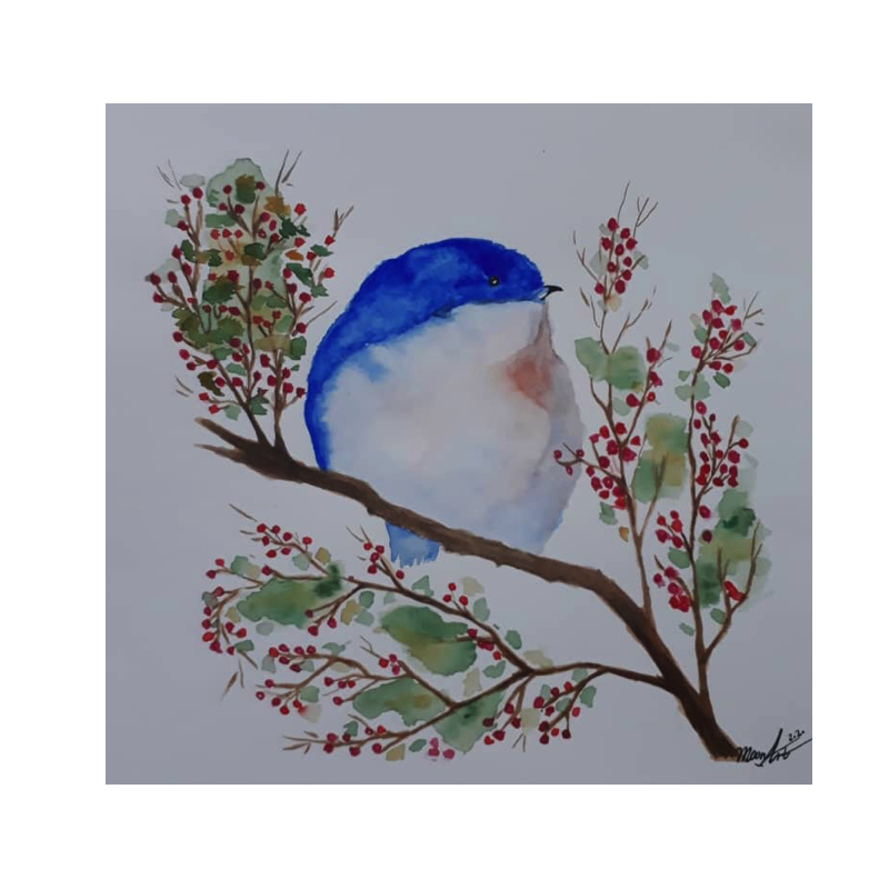 نقاشی آبرنگ مدل پرنده ۰۱
